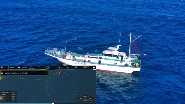 FIMI X8 2022 v.1 Analysis of Manual Point-Of-Interest combined with Flight record– Jan 27 смотреть онлайн