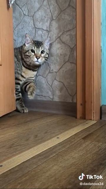 Забыл говно убрать😂 смотреть онлайн