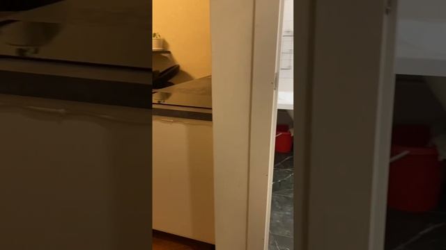 мира смотреть онлайн