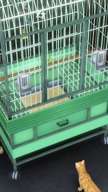 Птичку жалко в Симс 3 смотреть онлайн