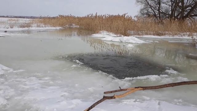 Закаливание Моржевание 20 февраля 2019 смотреть онлайн