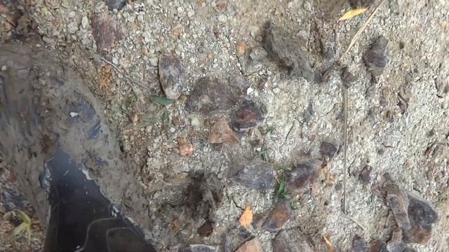 Бизон против дерьмодемонов смотреть онлайн