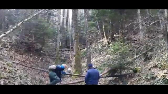 IL PARADISO SCOLOPAX IN CALABRIA (4/4) смотреть онлайн