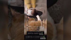 ***Ты да я да мы с тобой** / исп.Елена Фролова/