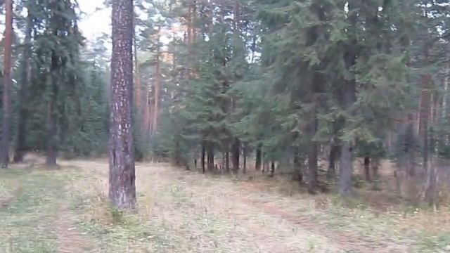 Селфи. Урал. Лес смотреть онлайн