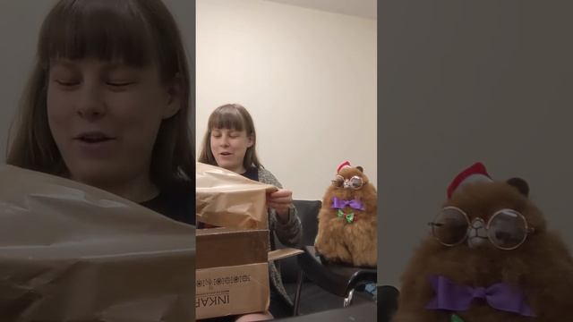 Unboxing My Inkari Monsterfluff Alpaca смотреть онлайн