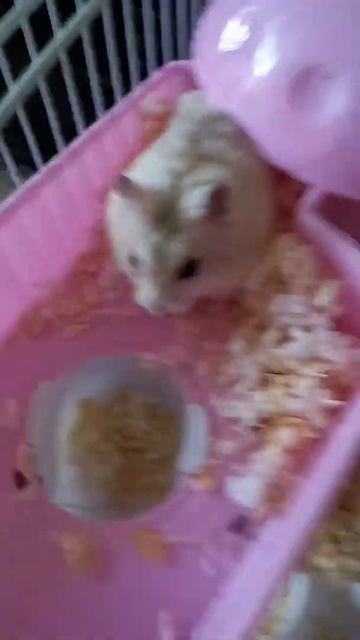 25 мая 2022 г. смотреть онлайн