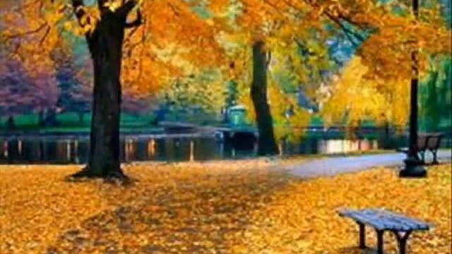 Тарас-мои октябрь смотреть онлайн