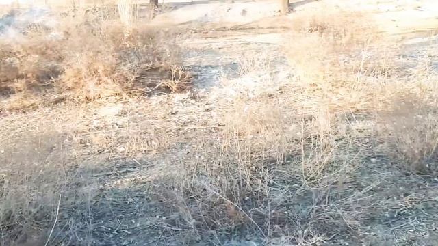 ҚАЗ ҮЙРЕКТІҢ КӨЛІН ТАЗАЛАУ🇰🇿 смотреть онлайн