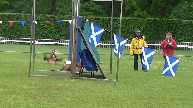 Chuck vom Gailtal FMBB 2016 Mondioring Cat. 1 смотреть онлайн