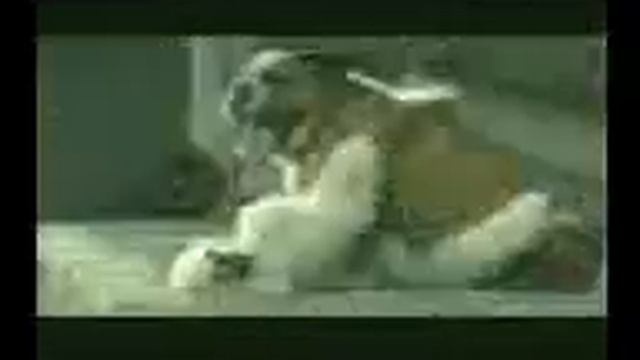 Dutchtone cb смотреть онлайн