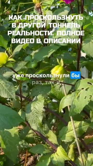 💥НАПОЛНЯЙТЕСЬ ЖЕЛАНИЕМ смотреть онлайн