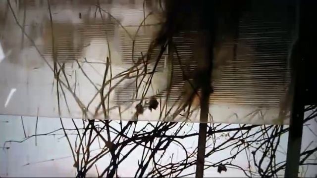 Автостоянка на даче смотреть онлайн