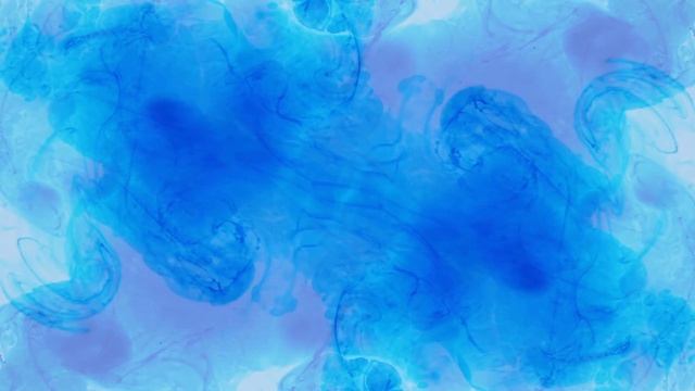 3/4 hang - Musical Experience - Relaxing Handpan Music with Visuals смотреть онлайн