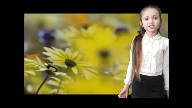 #чисті_роси_2021#Церковна Соломія смотреть онлайн