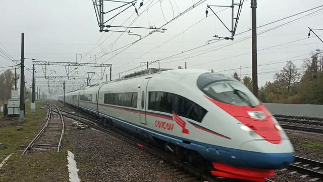 Электропоезд ЭВС1-10 "Сапсан" пролетает ст. Славянка, г. СПБ., 07.10.23 смотреть онлайн