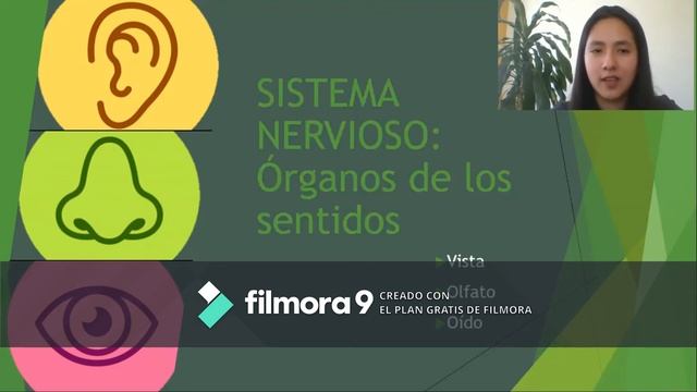 DIÁPSIDOS - Arcosaurios extintos смотреть онлайн