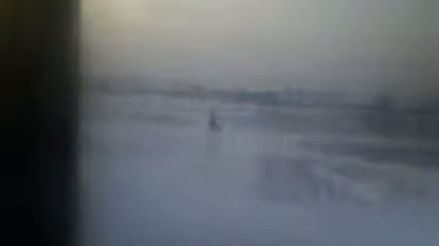 Необычное существо смотреть онлайн