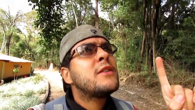 Encontrei 3 MACACOS PREGO procurando COMIDA em meio a seca na floresta смотреть онлайн