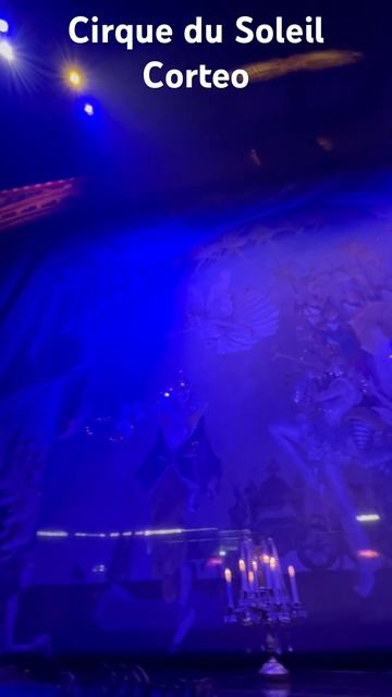 #cirque #cirquedusoleil #tmobilearena #corteo #theatre #kansascitymissouri смотреть онлайн