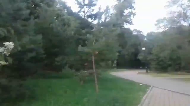 Пикнечек 3 голуби 🐦 смотреть онлайн