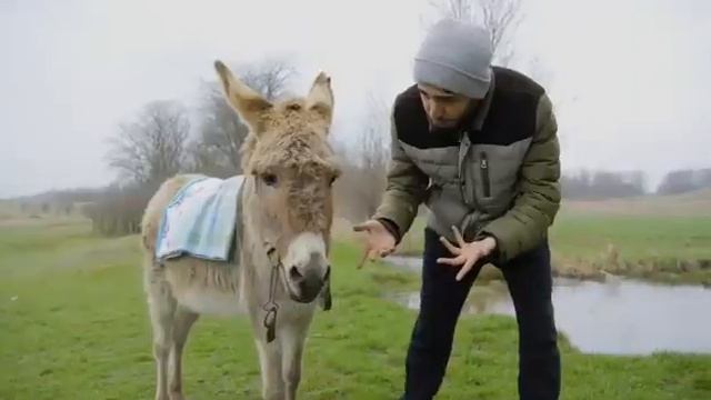 АРНИ & МАРАТ - ГУЛЯЙ НЕ ГУЛЯЙ смотреть онлайн