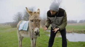 АРНИ & МАРАТ - ГУЛЯЙ НЕ ГУЛЯЙ