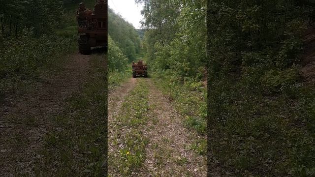 VID_20240524_151342 смотреть онлайн