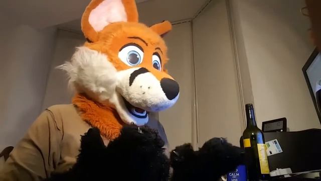 Dojo Dingo Offers Collab смотреть онлайн