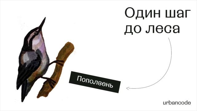 Поползень смотреть онлайн