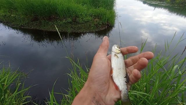 мормышинг на реке смотреть онлайн