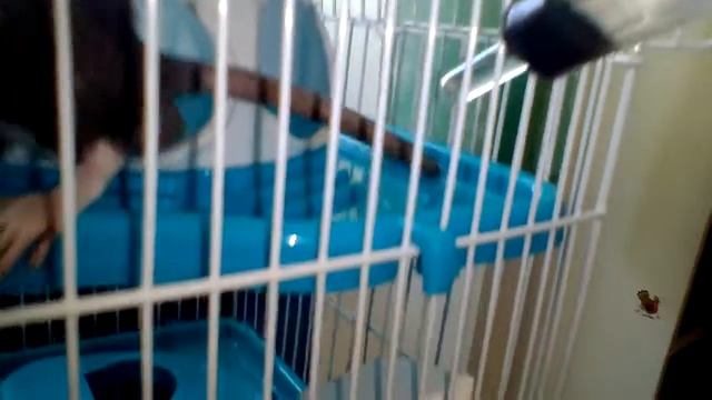Хрыстос воскрыс смотреть онлайн