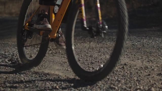 The New 2022 Santa Cruz Chameleon смотреть онлайн