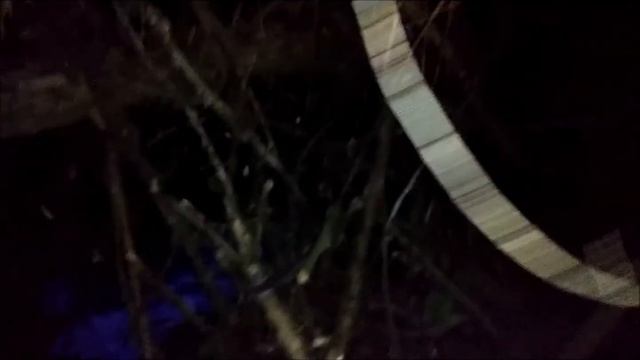 Сдаём на "Медведя" (Скаутский лагерь) смотреть онлайн