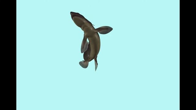 Xenacanthus--an Extinct Freshwater Shark