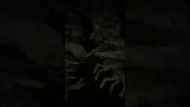 Булт смотреть онлайн