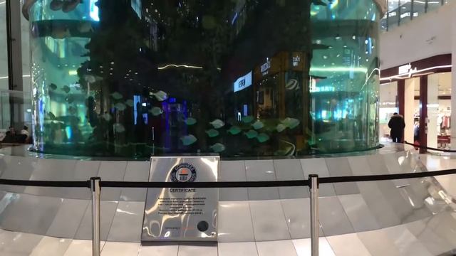 Аквариум торгового центра "Авиапарк" смотреть онлайн