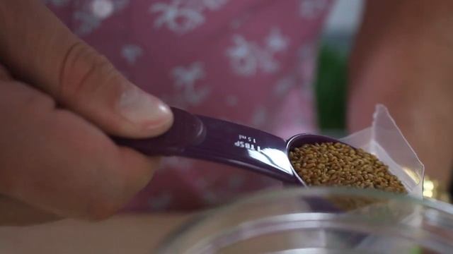 How To Grow//3 Jar Sprouting Kit смотреть онлайн