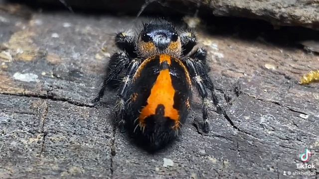 2 July 2023 смотреть онлайн