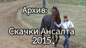 Скачки Ансалта 2015 Архив