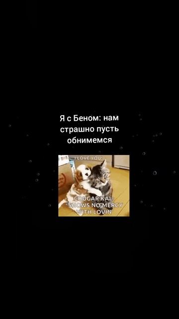 Пов: Я с Беном стали супергероями( часть 1! возвращение котов часть 2!) смотреть онлайн