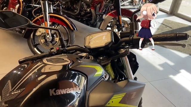 Kawasaki Z650, 2022 года, отличный мотоцикл.