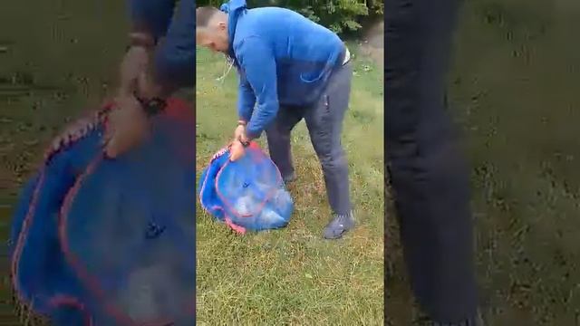 Флет смотреть онлайн