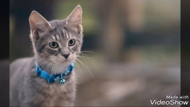 Фотки и арты которые я сегодня закачал 2 часть смотреть онлайн