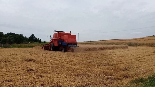 Żniwa 2021 bizon z056 смотреть онлайн