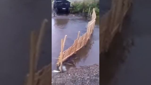 Рыбе не дают нерестится, Сахалинские реки скоро останутся без рыбы смотреть онлайн