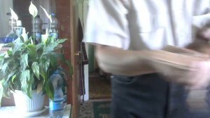 Тульские турманы 2023