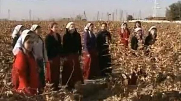 Türkmen aýdym - çalsana bagşy