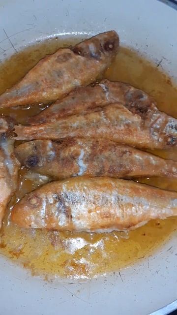 Барабулька жареная #вкусно #жизнь #природа #здоровье # #viral #лето #youtubeshorts #yutubeshorts смотреть онлайн