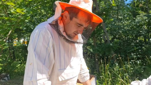 Сбор лучшего липового меда 2022/ Как сделать натуральный мёд/ Пчеловодство смотреть онлайн